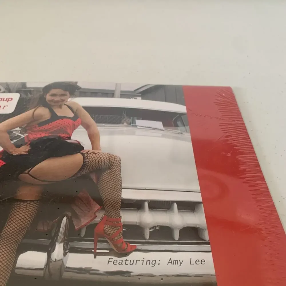 Rockabilly PinUp 2019 Calendar Brand New Sealed Featuring Amy Lee